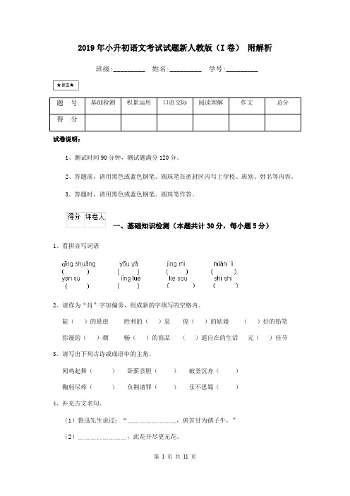 2019年小升初语文考试试题新人教版(I卷) 附解析