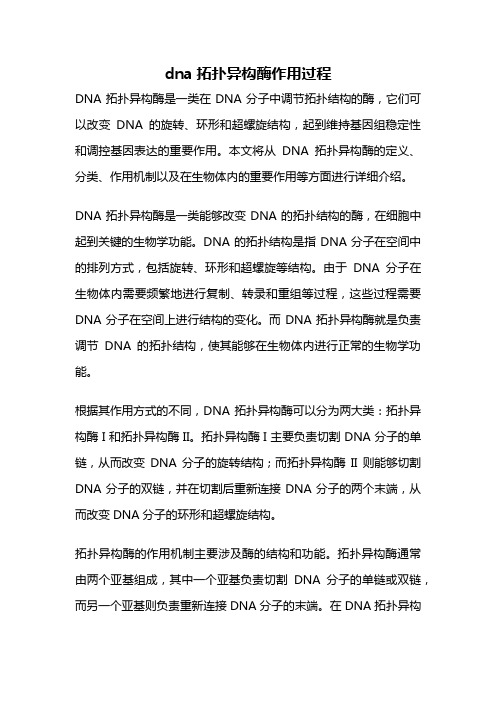 dna拓扑异构酶作用过程