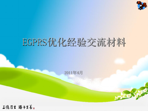 EGPRS优化经验交流材料(华为)二PPT课件