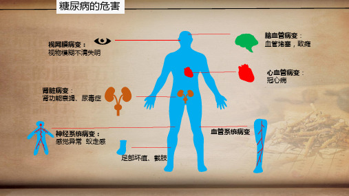 糖尿病中医药知识健康讲座课件-PPT