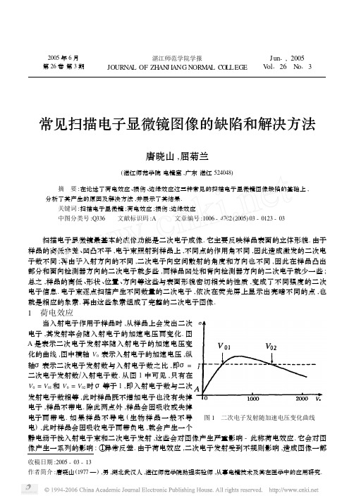 常见扫描电子显微镜图像的缺陷和解决方法