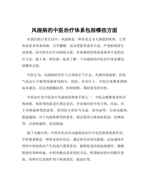 风湿病的中医治疗体系包括哪些方面