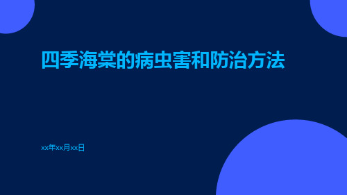 四季海棠的病虫害和防治方法