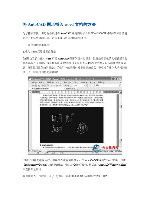 将AutoCAD图形插入word文档的方法