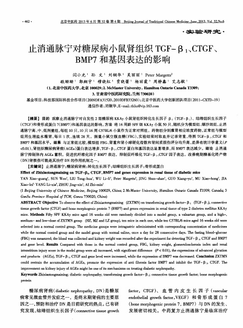 止消通脉宁对糖尿病小鼠肾组织TGF-β1、CTGF、BMP7和基因表达的影响