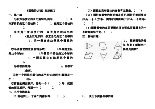 六年级数学下册圆锥的认识练习