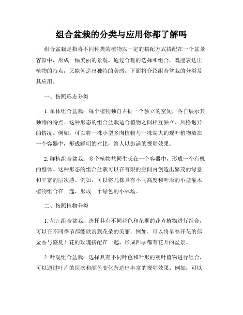 组合盆栽的分类与应用你都了解吗