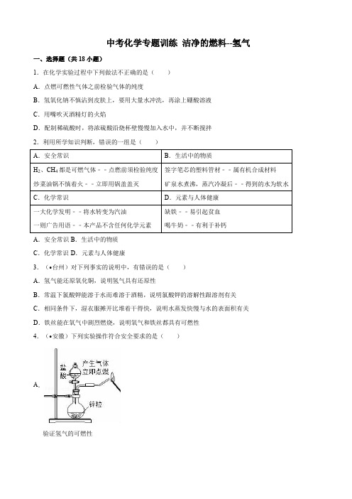 2018年中考化学专题训练 洁净的燃料--氢气(解析版)