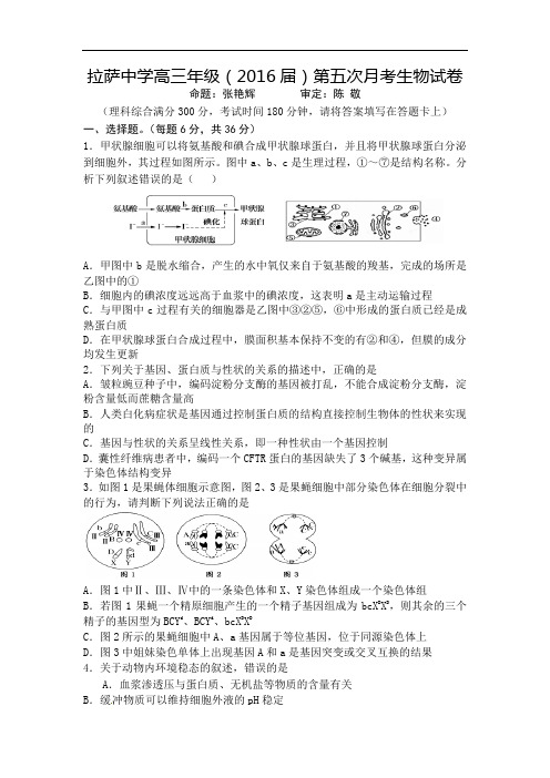 西藏拉萨中学高三第五次月考理综试卷 Word版含答案