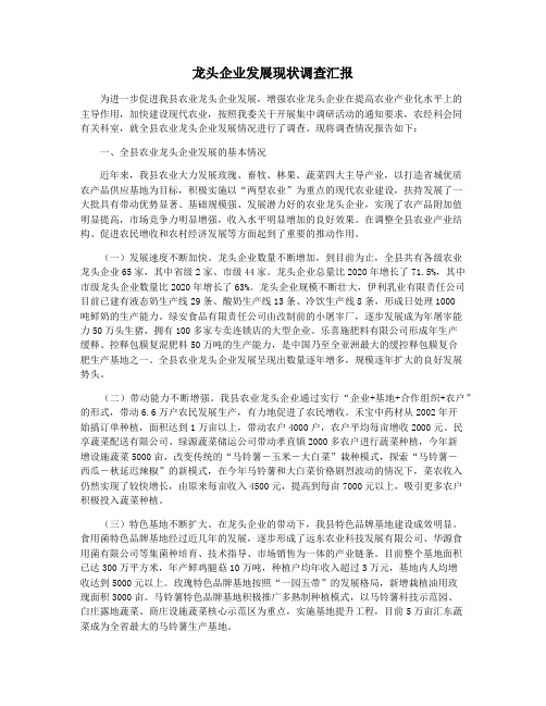 龙头企业发展现状调查汇报