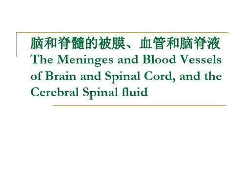 系统解剖学：脊髓的被膜,血管,脑脊液循环