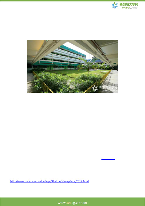 新加坡莎顿国际学院金融会计大专课程详解