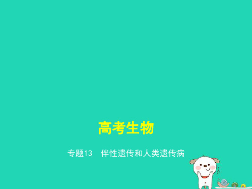 高考生物一轮复习专题13伴性遗传和人类遗传病一等奖公开课ppt课件