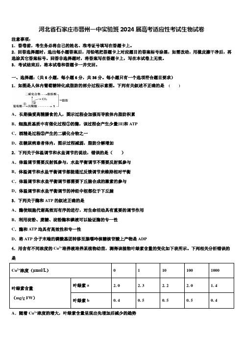 河北省石家庄市晋州一中实验班2024届高考适应性考试生物试卷含解析