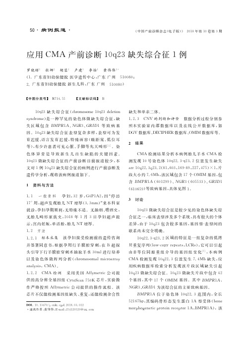 应用CMA产前诊断10q23缺失综合征1例