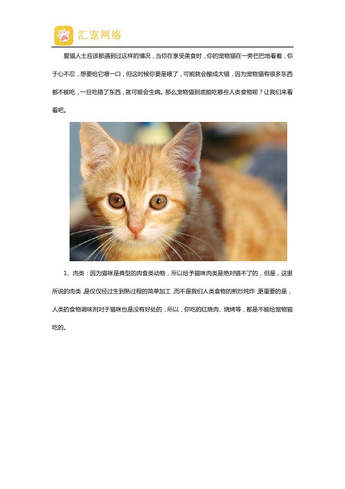 宠物猫可以吃哪些人类食物？