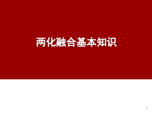 贯标培训材料1-两化融合基本知识_0822