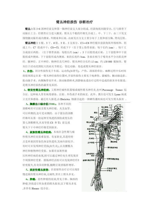 臂丛神经损伤解剖诊断及治疗