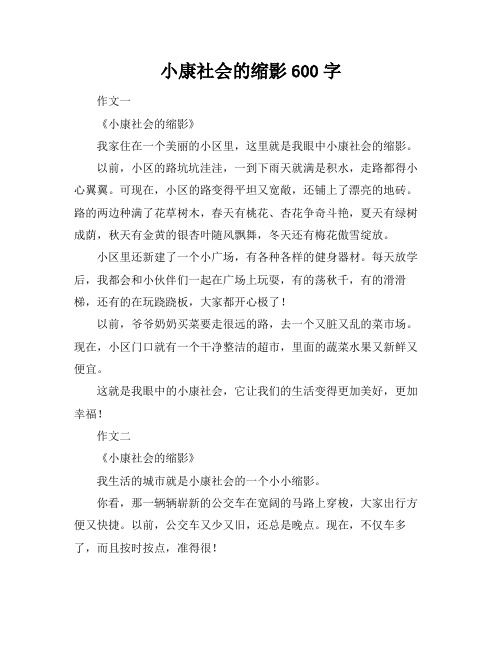 小康社会的缩影600字