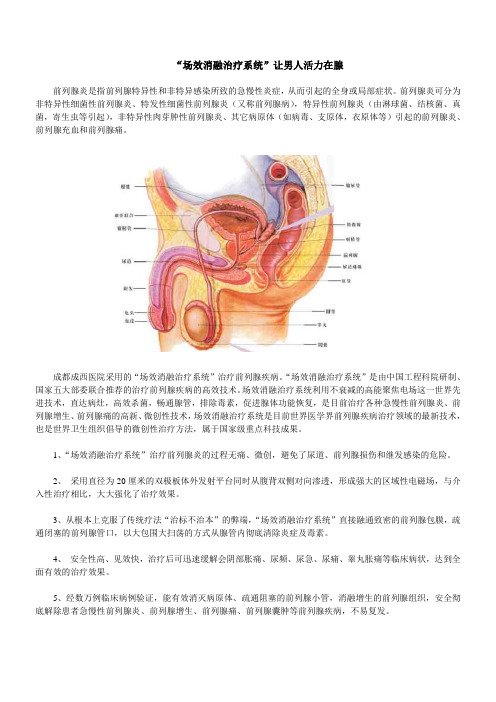 场效消融治疗系统