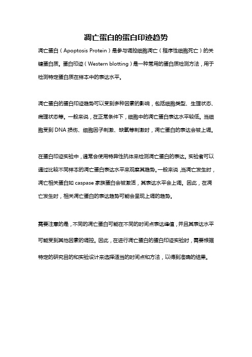 凋亡蛋白的蛋白印迹趋势