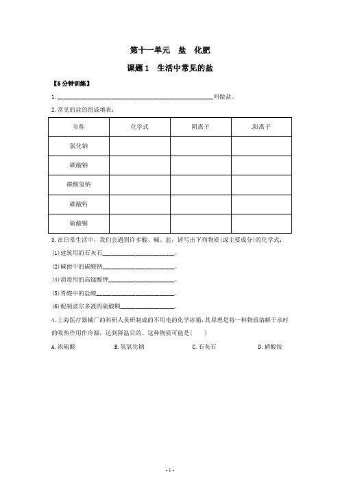 初中化学九年级下册同步练习及答案(第11单元  盐 化肥)