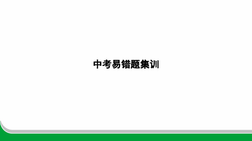 2024年中考英语中考易错题集训词汇运用和句子翻译课件(扬州地区)