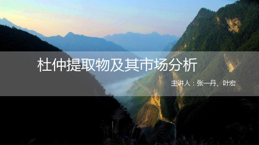 杜仲