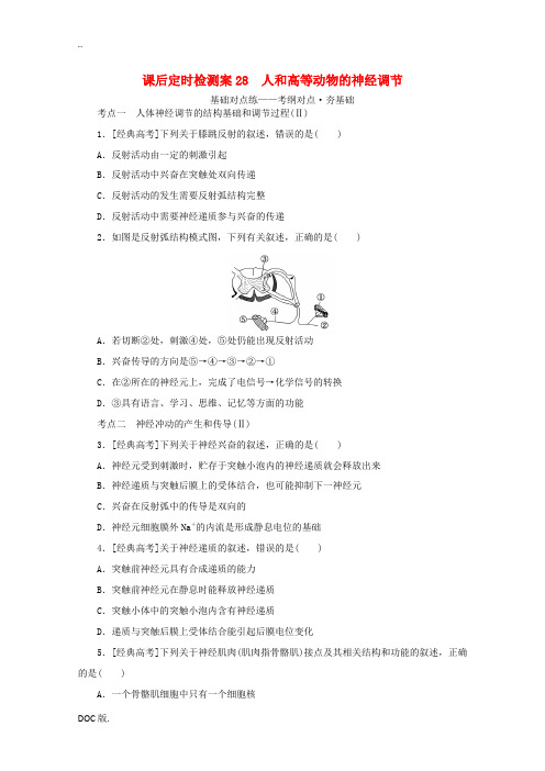 高考生物一轮复习 课后定时检测案28 人和高等动物的神经调节(含解析)新人教版高三全册生物试题