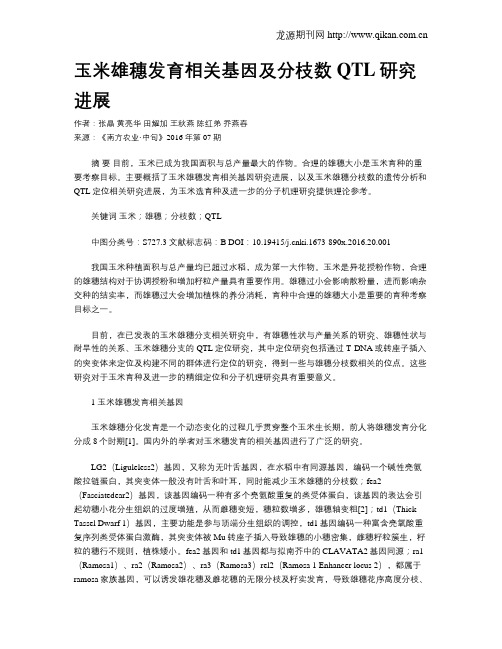 玉米雄穗发育相关基因及分枝数QTL研究进展