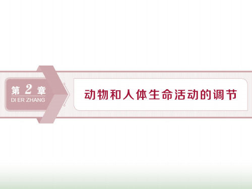 新人教版高中生物必修III反射及兴奋在神经纤维上的传导(33张)课件PPT