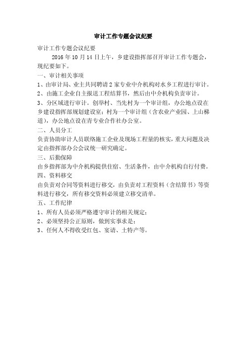 审计工作专题会议纪要(精简版)