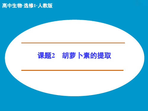 高中生物人教版选修一胡萝卜素的提取