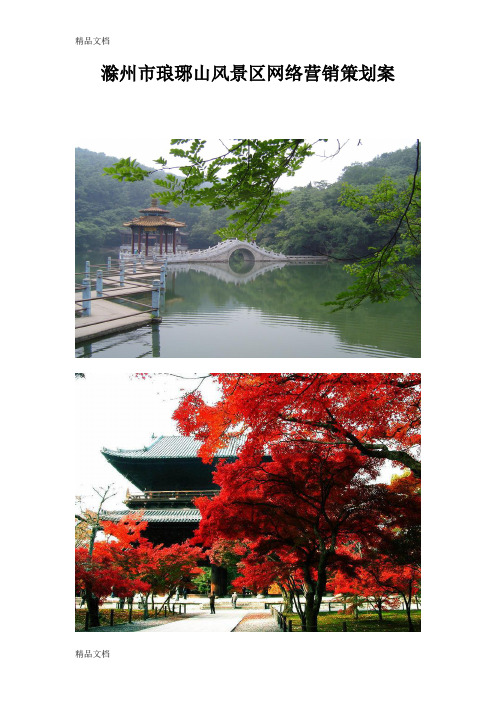 滁州市琅琊山风景区网络营销策划案教案资料