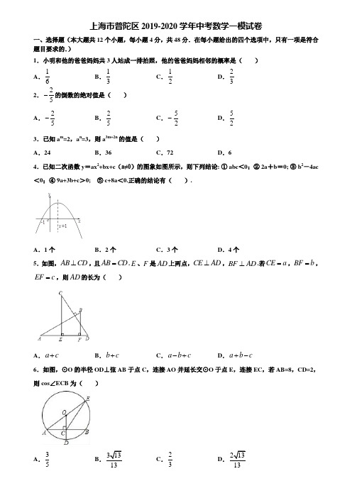 上海市普陀区2019-2020学年中考数学一模试卷含解析