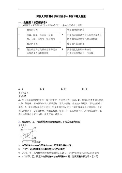 深圳大学附属中学初三化学中考复习题及答案