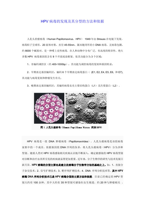 HPV病毒的发现及其分型的方法和依据