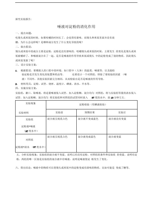 探究实验报告唾液对淀粉的消化作用