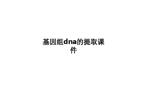 基因组dna的提取课件