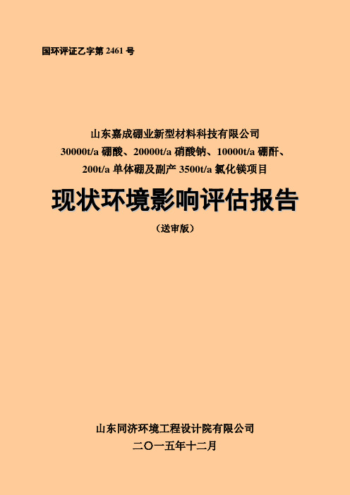 环境影响评价报告公示山东嘉成硼业报告书环评报告