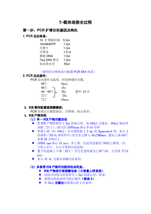 T-载体连接方案