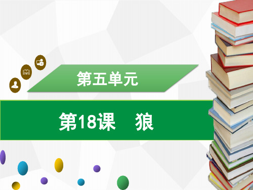 七年级语文上册第18课 狼习题课件(共29张幻灯片)