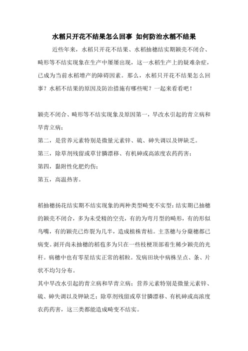水稻只开花不结果怎么回事 如何防治水稻不结果