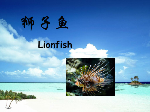 狮子鱼