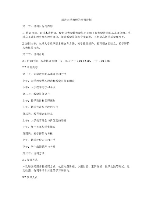 新进大学教师的培训计划