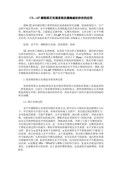 CS—AP裸眼砾石充填系统在渤海疏松砂岩的应用