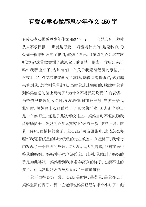 有爱心孝心做感恩少年作文450字