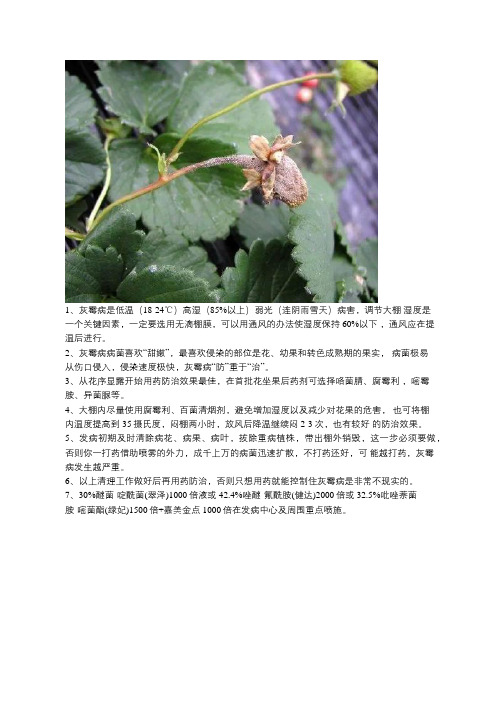 草莓灰霉病防治措施