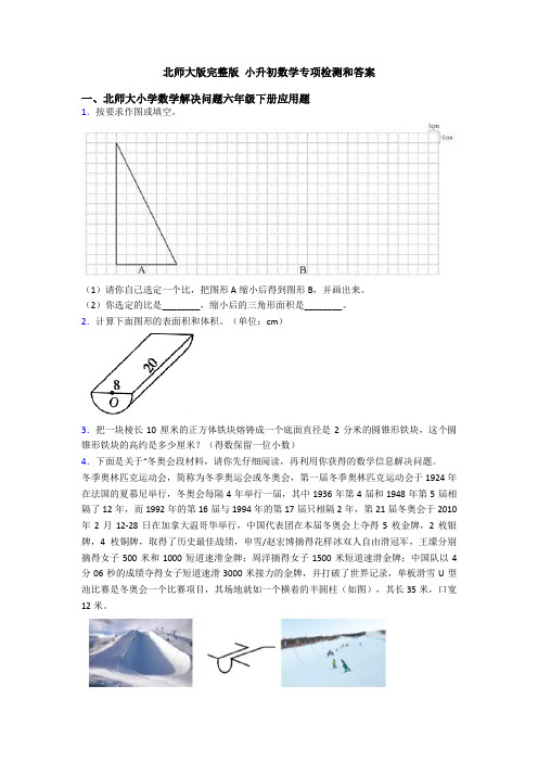 北师大版完整版 小升初数学专项检测和答案