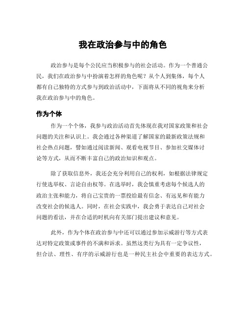 我在政治参与中的角色